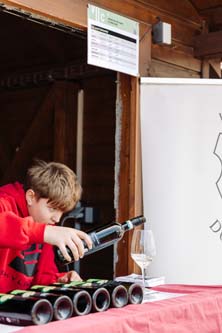 Festival vína VOC Znojmo